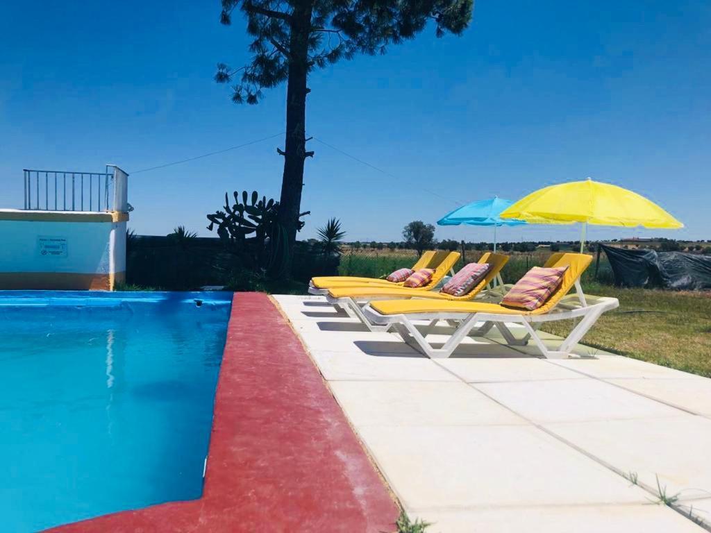 Monte Ramos Guest House Ferreira Do Alentejo Luaran gambar